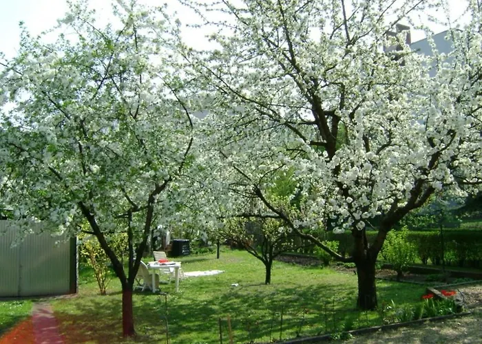 Haus In Mit Garten Budapesta