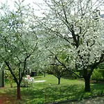 Haus In Mit Garten Budapesta