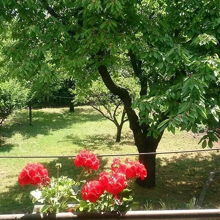 Сasa de vacaciones Haus In Mit Garten Budapest