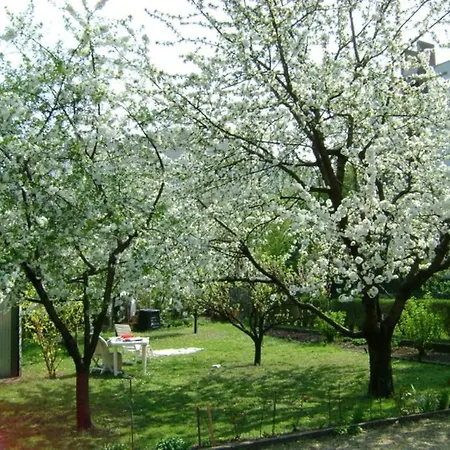 Haus In Mit Garten Budapest
